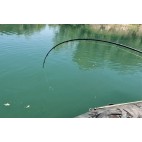 Black Cat Black Passion Boat  2.70m 600g