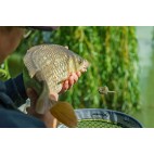 Фидер хранилка Matrix Interchangeable Pellet Feeders - Medium Фидер хранилка Matrix Interchangeable Pellet Feeders - Medium