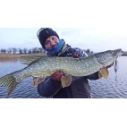 Блесна LiveTarget ICT Erratic Shiner 60mm Блесна LiveTarget ICT Erratic Shiner 60mm