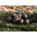 Протеинови топчета Mivardi Rapid Boilies Platinum ProActive 20мм, 950г