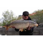 Протеинови топчета Mivardi Rapid Boilies Easy Catch, 950г - чесън и чили